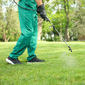 The Potential Negative Effects of Lawn Care Products on Pets and Children