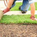 The Ultimate Guide to Lawn Care Products for Weed Control