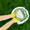 Choosing the Right Lawn Care Products for Your Specific Type of Grass