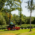 The Lifespan of Lawn Care Products: How Long Do They Last?