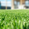 The Best Lawn Care Products: Expert Recommendations