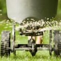 The Essential Ingredients in Lawn Care Products