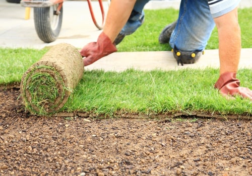 The Ultimate Guide to Lawn Care Products for Weed Control