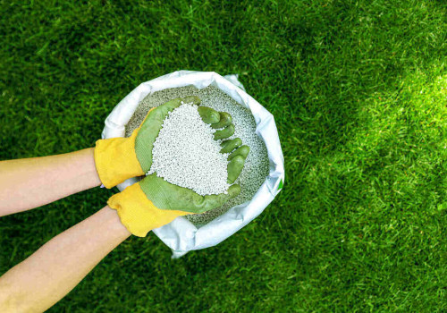 Choosing the Right Lawn Care Products for Your Specific Type of Grass