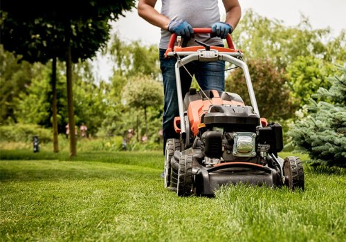 Mixing Different Types of Lawn Care Products: Expert Insights