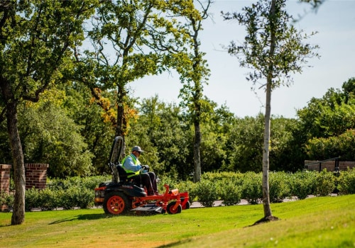 The Lifespan of Lawn Care Products: How Long Do They Last?